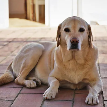 Casa Largo Do Poco ألفور