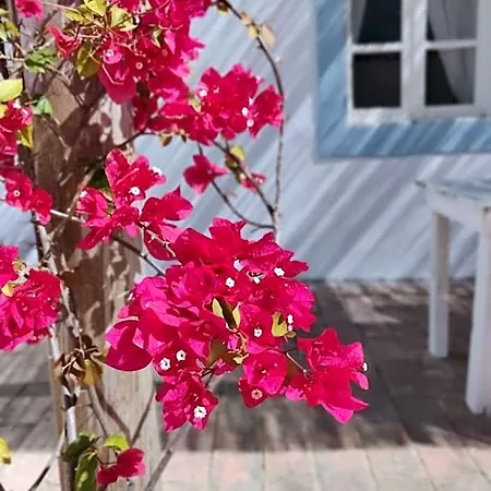فندق مبيت وإفطار Casa Largo Do Poco 4*